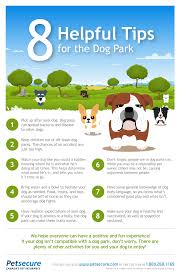 Petcard offers a simple and affordable way to finance the treatment or product your pet needs and it allows you to get it without i received excellent service from everyone at ifinance canada since 2013 and am so very appreciative. Warm Weather Means Lots Of Activity At Dog Parks Here Are Some Helpful Tips To Make Your Dogpark Experience A Great One Fo Dog Park Dog Infographic Cool Pets