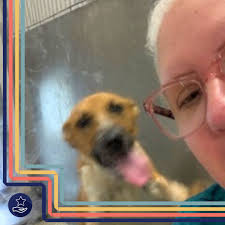 Today, we paused to honor the true meaning of Memorial Day: remembering and  paying tribute to the brave men and women who have given their lives in  service to our country. At