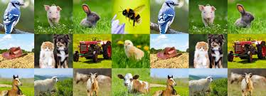 All Ag Ringtones
