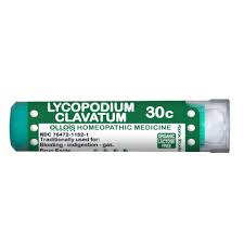 Image result for Lycopodium clavatum