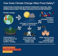 How Does Climate Change Affect Food Safety Global Warming Climate Change Effects Of Global Warming