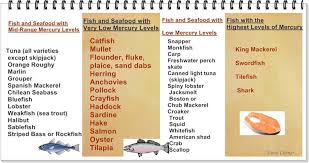 fish mercury level food corner