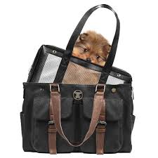 K9 is a believer in the no dog left behind policy. Best Designer Dog Carriers Most Likely Popular In 2021 Doggiebreeds Com
