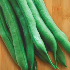 See full list on agrilifeextension.tamu.edu Organic Bean Seeds Provider Bush Mckenzie Seeds