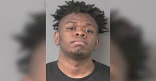 Police: Man fired gun into homes, car