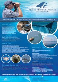 Before we did this design, we discuss with our supervisor. Serious Modern Non Profit Poster Design For A Company By Jb Design 638454