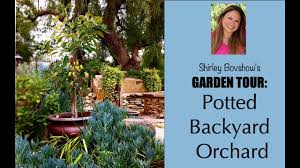 What is backyard orchard culture? Garden Tour Potted Backyard Orchard Dwarf Fruit Trees Youtube