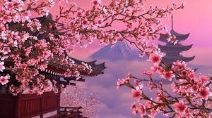 If you're in search of the best floral desktop wallpaper, you've come to the right place. Aesthetic Cherry Blossom Laptop Wallpaper Allwallpaper