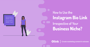 Top 10 best discord bots to use in your server 2020 guide. Instagram Bio Link Use Cases Irrespective Of Business Niche