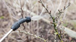 опрыскивание деревьев весной по фазам от болезней и вредителей Obrabotka Sada Bolezni I Vrediteli In 2020 Garden Tools How To Plan