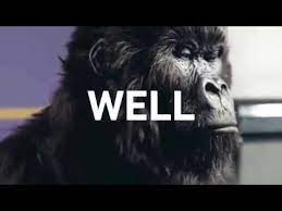 Read more about the blockchain meme is an experimental protocol mashing up some of the most exciting innovations in defi and. Hodl On Bitcoin Gorilla Can You Feel The Pumpening Youtube