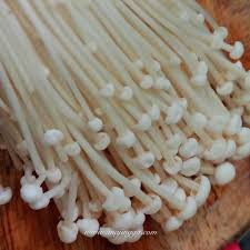 Ia besar dan berisi, ketebalan kaki boleh mencapai dari 1 hingga 3 cm. Jenis Jenis Cendawan Yang Boleh Di Makan