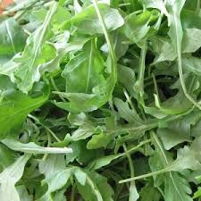 Arugula Rocket Organic Seeds