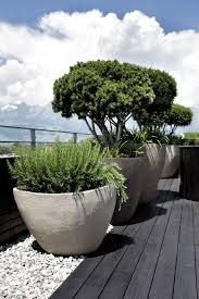 Pin Von C B Auf Terrasse Ideen In 2020 Garten Garten Landschaftsbau Pflanzen