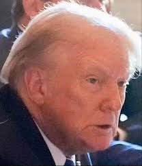 How can y'all not see the hole in her hair?