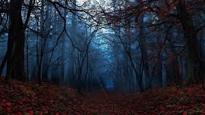 Captivating view of luscious blue aesthetic forest in landscape image. Fall Leaves On Ground In The Forest Hd Dark Aesthetic Wallpapers Hd Wallpapers Id 45566