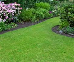 Rasen Saen Zeitpunkt Richtiges Vorgehen Plantura Gruner Rasen Rasen Dungen Garten