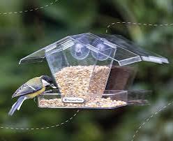 Bird Food