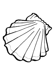 Ocean Animals Coloring Pages Sea Animals Clam Shell Sea Sea Animals Drawings Animal Coloring Pages Coloring Pages