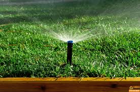 Why It S Worth It To Get Your Sprinkler System Repaired