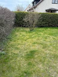 Image result for site:byggahus.se Algomin