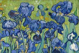 Five Ways Of Seeing Van Gogh S Irises Van Gogh Flowers Van Gogh Irises Van Gogh Art
