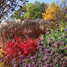 Petra Pelz On Instagram War Das Ein Feuerwerk An Farben Im Garten Zum Einen Lag Es Am Wetter Aber Auch An Den Gepflanzten Arten Wi Plants Red Peppercorn