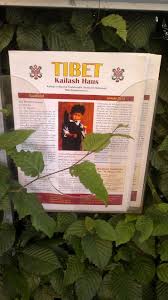 Mit wilfried pfeffer tibet kailash haus, freiburg ★ 20 uhr info: Facebook