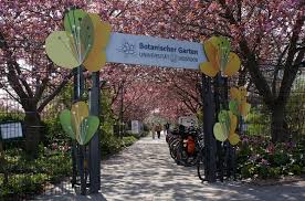 Neben den ersten tomaten werden zucchini und gemüsekürbisse, puffbohnen, fenchel, zwiebeln, mangold, möhren, rote bete. Gartenroute Mecklenburg Vorpommern