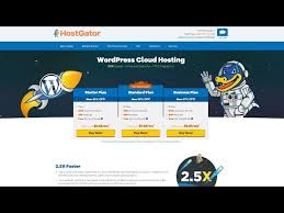 Hostgator Review A Data Backed Performance Examination