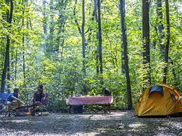 Последние твиты от camping la plage (@camping_plage). Campground At Parc National D Oka