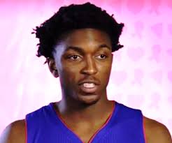 Stanley Johnson (basketball) Biography