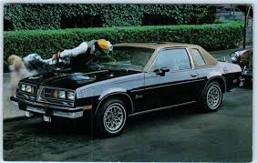 fort worth tx bill mcdavid pontiac 1977 pontiac sunbird coupe car postcard hippostcard fort worth tx bill mcdavid pontiac