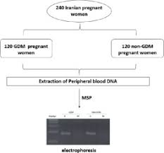 Usually the body can make more insulin during pregnancy to keep blood sugar normal. Study Of Vitamin D Receptor Gene Methylation And The Risk Of Gestational Diabetes Mellitus In Iranian Pregnant Women Sciencedirect