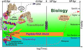 New Findings Challenge Assumptions About The Origins Of Life