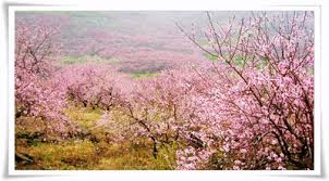 咏春夏秋冬- 格律诗歌- 中国文学网- 手机版- Powered by Discuz!