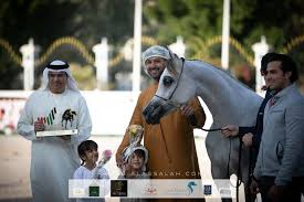 ذهب وفضة وبرونز لـ دبي ببطولة الإمارات الوطنية 2020 وتتويج بكأس زايد In 2020 Arabian Horse Fictional Characters Character