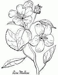 Vintage clipart butterfly, printable fairy graphics, digital fairy. Free Roses Printable Adult Coloring Page The Graphics Fairy Coloring Home