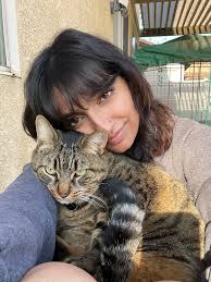 Room for rent with pet-friendly policy under $1600