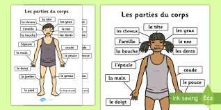 See more ideas about french body parts, body parts, teaching french. Parties Du Corps A4 French