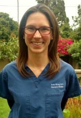 Meet our Faculty • Emerge % %