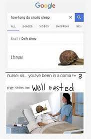 Actually It S Just A Meme That Was Probably Photoshopped According To Https Animals Mom Me Sleeping Habits Snails 6519 Html Lustig Humor Lustig Memes Humor
