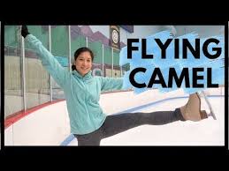 Where does a camel get energy for survival? Pin On Figure Skating