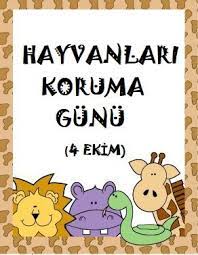 hayvanlari koruma gunu renkli afisi sinif sergisi hayvan haklari anaokulu sinifi