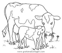 357 82 kuh lecken zunge kopf. Kuhe 18 Gratis Malvorlage In Kuhe Tiere Ausmalen
