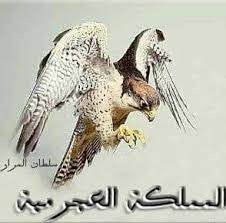 ^800 ابحث هنا في اكوام باسم الفيلم او المسلسل او اي لعبة او برنامج ترغب. Ø¹Ø´Ø§Ø¦Ø± Ø§Ù„Ø¹Ø¬Ø§Ø±Ù…Ø© Startseite Facebook