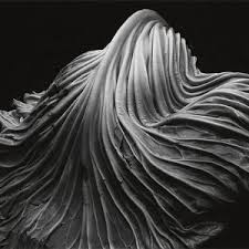 Using the value scale helps them create the illusion of depth in their two dimensional artworks, with highlight and shadow. Abstract Photography Famous Artists Examples And Techniques