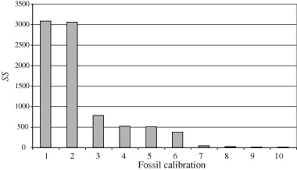 Image result for Impatiens mildbraedii