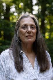 Will Disney's Asteria Community be the Most Magical Place in NC?