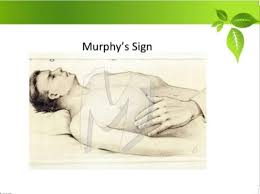 Image result for Murphy Sign
